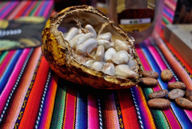 cacaofestival_kitchenhabitscom1