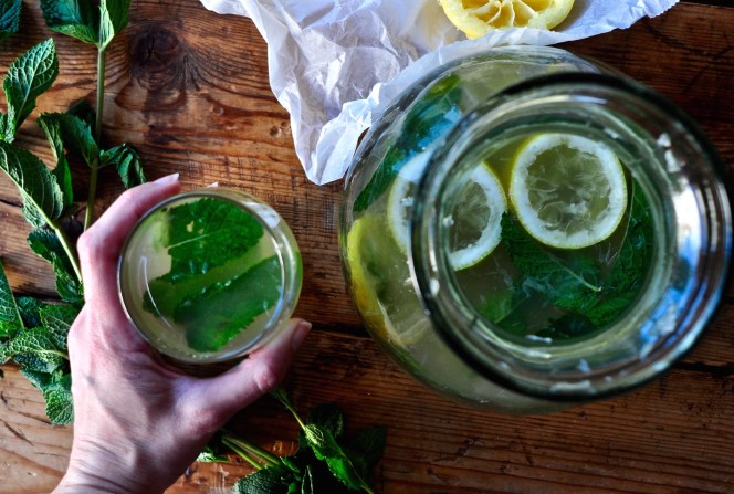 lemonade_kitchenhabitscom4