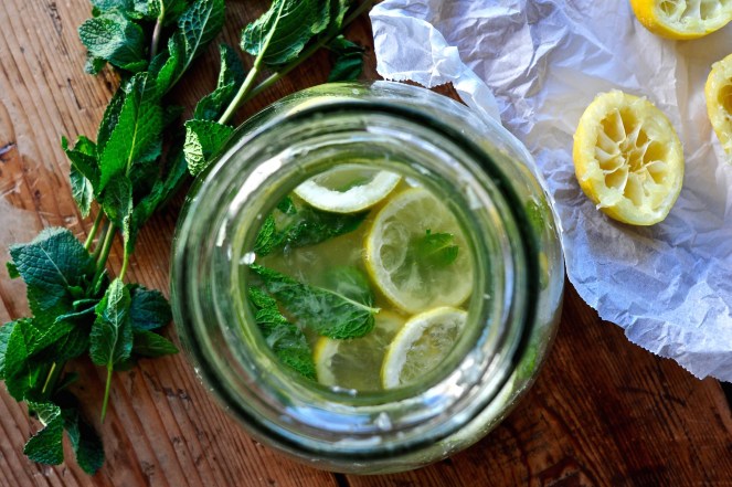 lemonade_kitchenhabitscom5